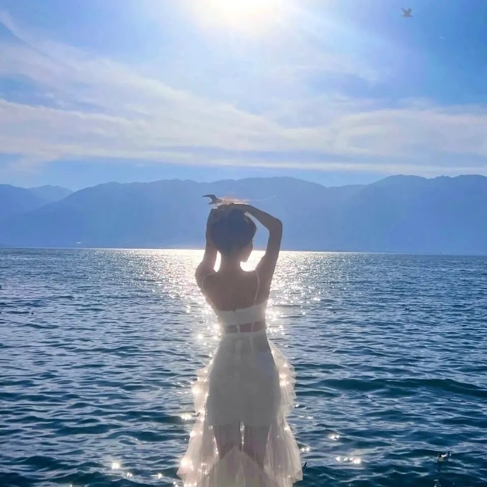 明月山海揽芳华